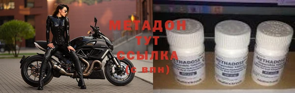 прущие грибы Покровск
