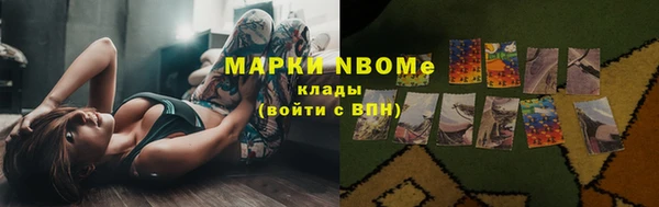 PSILOCYBIN Алзамай